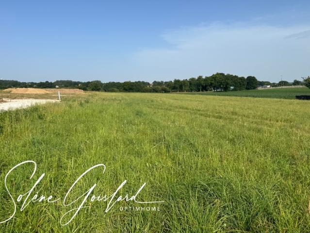 Saint Martin sur Oust Vente Terrain 56