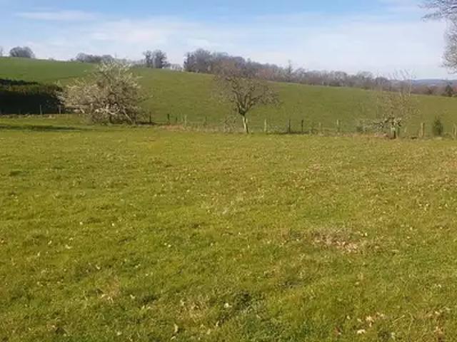 Saint Martin Terressus 87400 Achat / Vente terrain