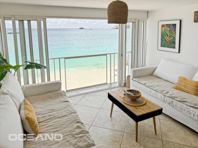 Saint Martin Vente Appartement 97