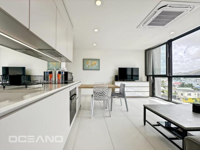 Saint Martin Vente Appartement 97