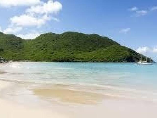 Saint Martin Vente Appartement 97