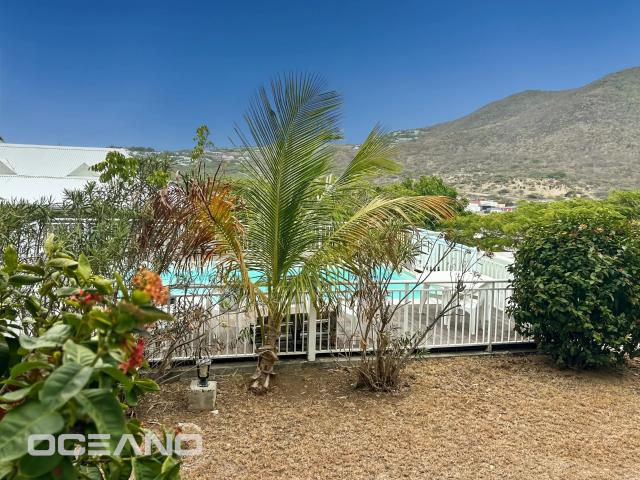 Saint Martin Vente Appartement 97