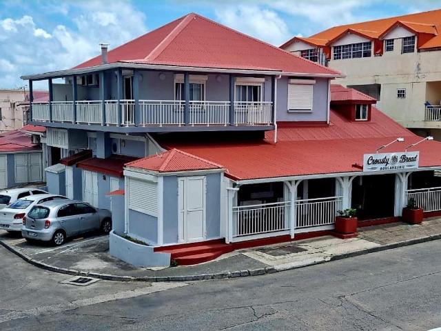 Saint Martin Vente Immeuble 97
