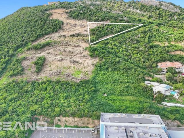 Saint Martin Vente Terrain 97