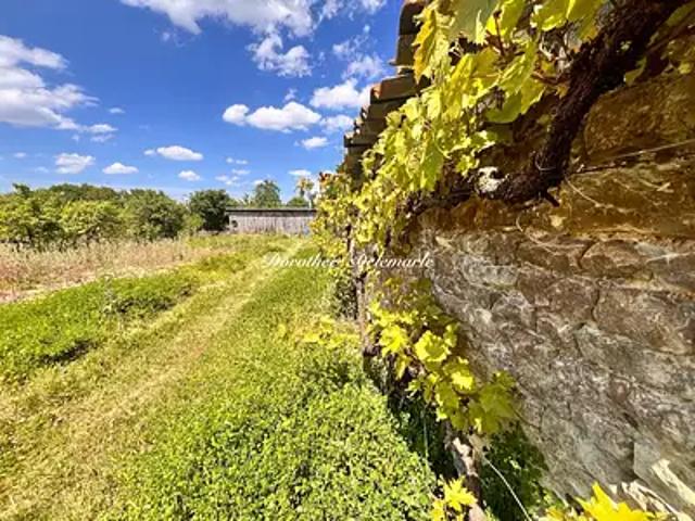 Saint Mard 17700 Achat / Vente terrain