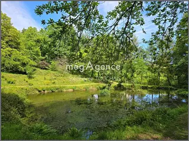 Saint Mars sur la Futaie 53220 Achat / Vente terrain