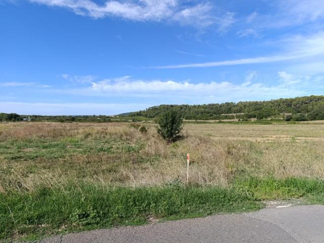 Saint Mathieu de Tréviers Vente Terrain 34