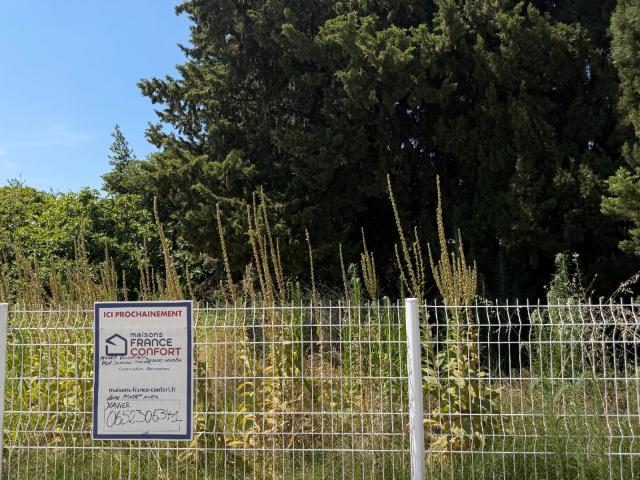 Saint Mathieu de Tréviers Vente Terrain 34