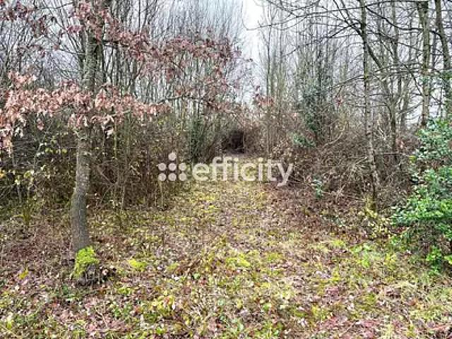 Saint Mathurin 85150 Achat / Vente terrain