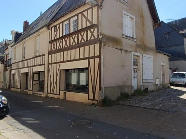 Saint Mathurin sur Loire Vente Immeuble 49