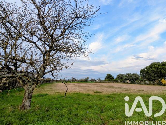 Saint Mathurin sur Loire Vente Terrain 49