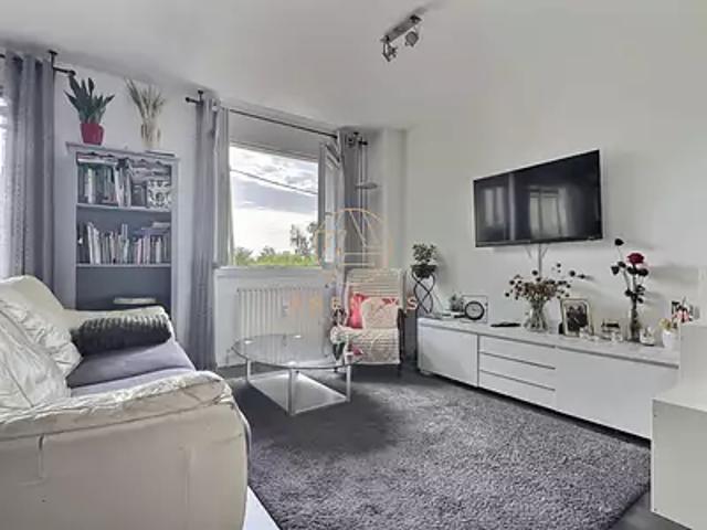 Saint Maur des Fossés 94100 Achat / Vente appartement 3 pièces t3