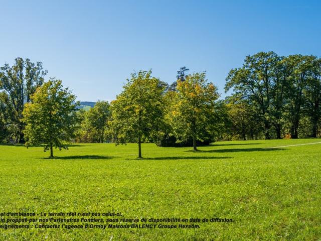 Saint Maurice Montcouronne Vente Terrain 91