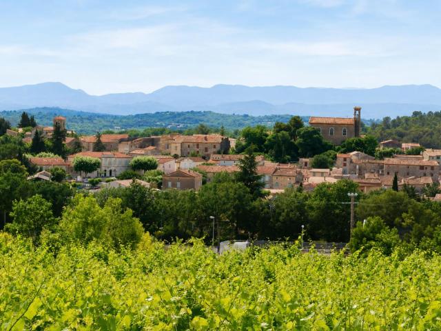 Saint Maurice de Cazevieille Vente Maison 30