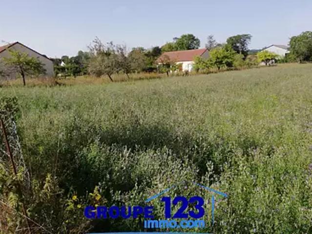 Saint Maurice le Vieil 89110 Achat / Vente terrain