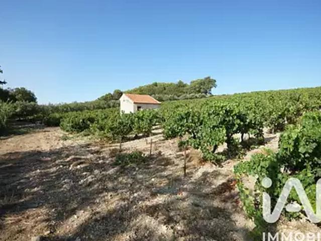 Saint Maurice sur Eygues 26110 Achat / Vente terrain
