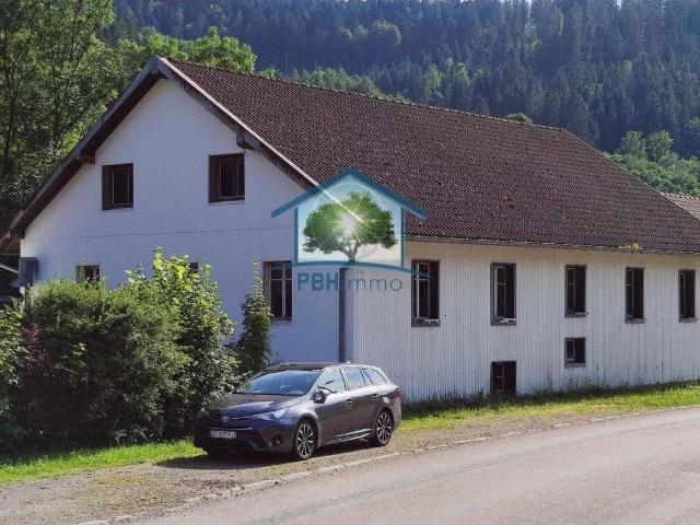 SAINT MAURICE SUR MOSELLE 88 Maison 293m2 11pièces sur 880m2 d