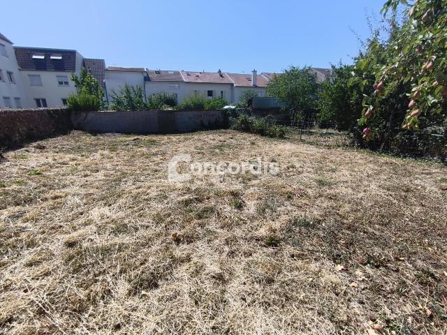 Saint Max Location Appartement 54
