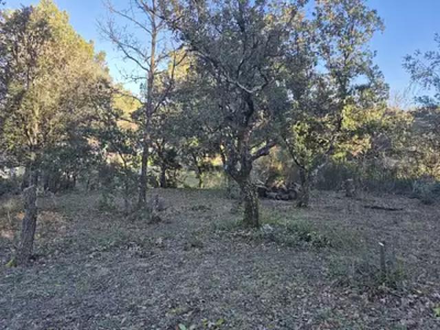 Saint Maximin la Sainte Baume 83470 Programme neuf terrain neuf à vendre