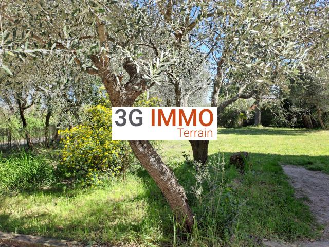 Saint Maximin Vente Terrain 30