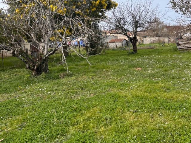 Saint Médard de Guizières Vente Terrain 33