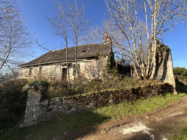 Saint Merd de Lapleau Vente Propriété/château 19