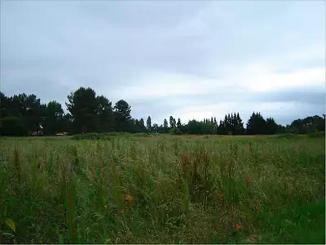 Saint Michel de Double 24400 Programme neuf terrain neuf à vendre