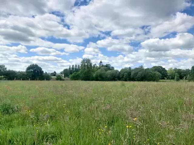 Saint Michel des Andaines 61600 Achat / Vente terrain