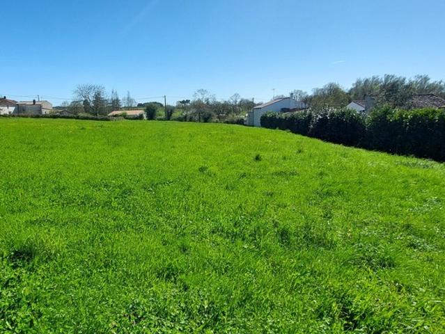Saint Michel le Cloucq Vente Terrain 85