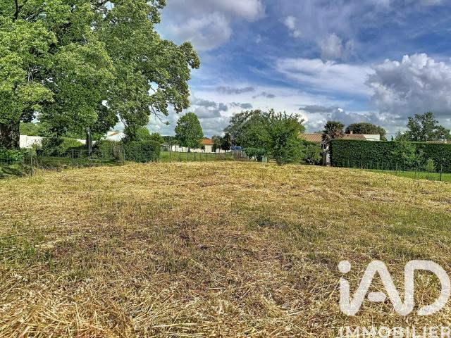 Saint Michel le Cloucq Vente Terrain 85