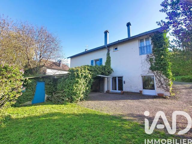 Saint Michel sur Meurthe Vente Maison 88