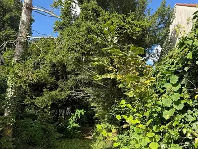 Saint Michel sur Orge 91240 Programme neuf terrain neuf à vendre