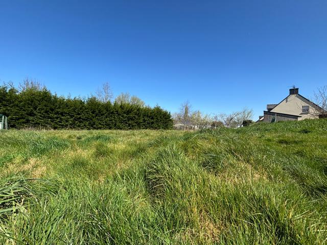 Saint Molf Vente Terrain 44