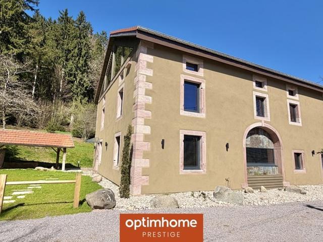 Saint Nabord Vente Propriété/château 88