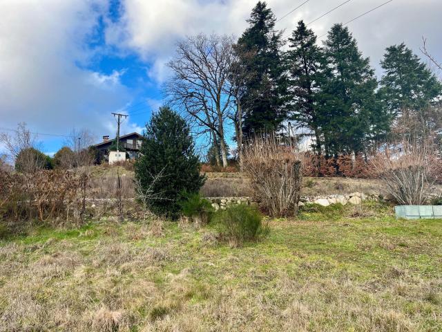 Saint Nabord Vente Terrain 88
