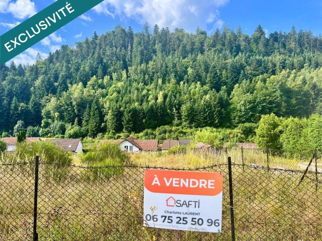 Saint Nabord Vente Terrain 88