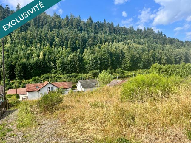 Saint Nabord Vente Terrain 88