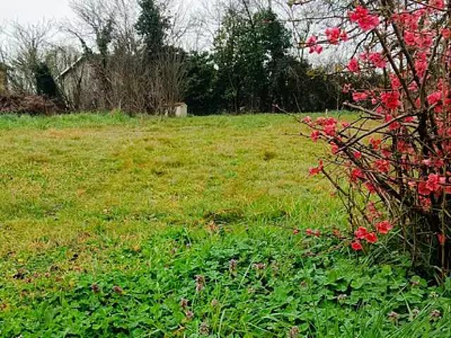 Saint Nauphary 82370 Achat / Vente terrain
