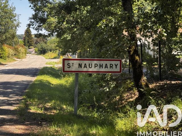 Saint Nauphary Vente Terrain 82