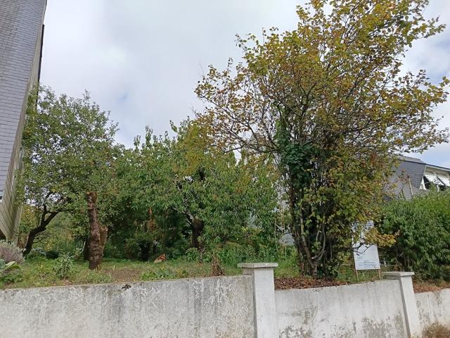 Saint Nazaire Vente Terrain 44
