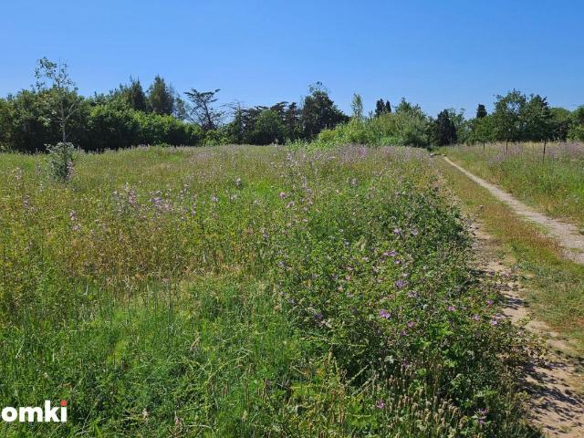 Saint Nazaire Vente Terrain 66
