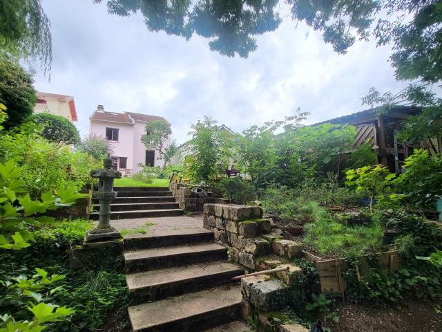 SAINT NICOLAS DE PORT, DANS UN ECRIN DE VERDURE