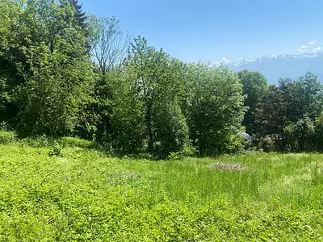 Saint Nizier du Moucherotte 38250 Achat / Vente terrain