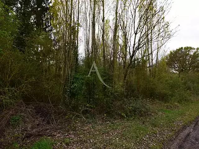 Saint Ouen en Brie 77720 Achat / Vente terrain