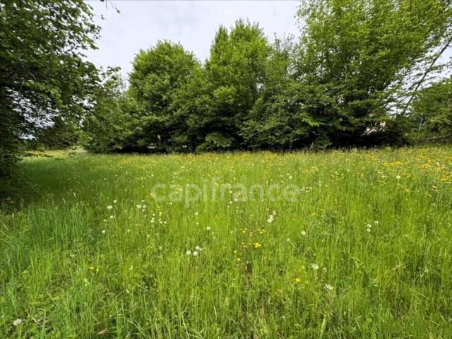 Saint Ours Vente Terrain 73
