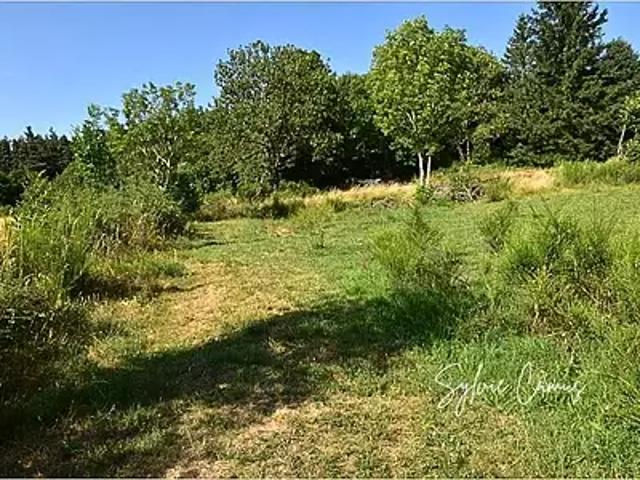 Saint Pal de Mons 43620 Achat / Vente terrain