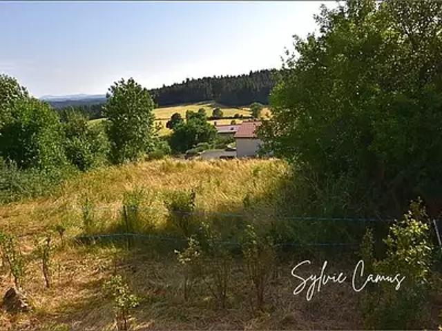 Saint Pal de Mons 43620 Achat / Vente terrain
