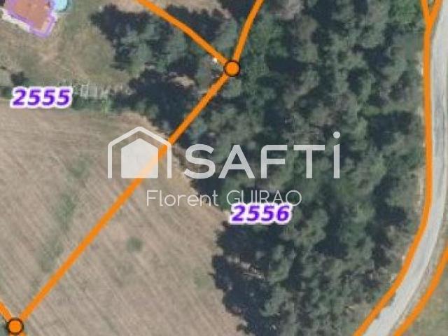 Saint Pal de Mons Vente Terrain 43