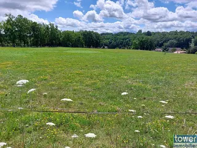 Saint Pardoux la Rivière 24470 Achat / Vente terrain