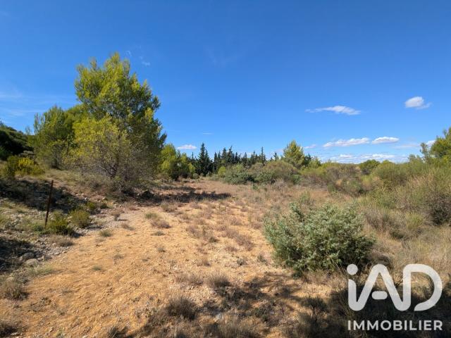 Saint Pargoire Vente Terrain 34